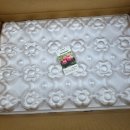 하늘재농장 이미지