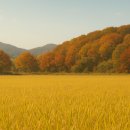 희망합동공인중개사사무소 이미지