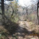 송전목장 이미지