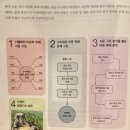 읽기로 생각다지기(초4) | [문제집추천]💙예비초3 채채의 동아출판 빠작 비문학 독해 시작!