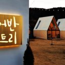 어반트리
