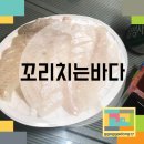 꼬리치는바다 네이버블로그
