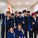 빠밤 Daum카페