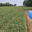 서산토지부동산공인중개사사무소 이미지