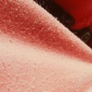 멍뭉이샵 이미지