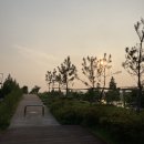 수도권매립지 캠핑장 이미지