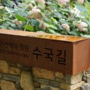 두번째산책 이미지