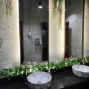 물꽁오리 이미지