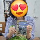다된다아저씨 이미지