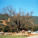 남해-199 이미지