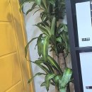 우리동네부동산중개 이미지