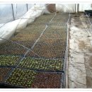 태기산농장 이미지