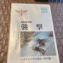 일본 1989년 제작 ~말벌의 무시무시한 생태~ "NHK특집 습격" 이미지