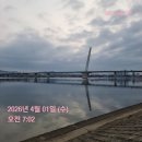 엘바이오 | 운동후 뭐 먹지? 엘바이오로직스 단백질쉐이크 지캅 쉐이크 추천