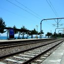 정동진역 이미지