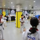 호명 타이거즈 태권도장 2관 | 용인대 안산타이거즈 태권도장: 전문적이고 체계적인 곳!!