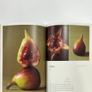 황금역 | 대구 무화과케이크 수성구 케이크 맛집 쿠키마리 케이크샵 황금역점 예약 방문 후기