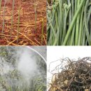 산내면 중황마을 이미지