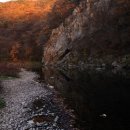 구곡농장 이미지