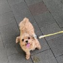 메이의산책 이미지