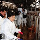 증산한우농장 이미지