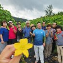 스마트폰으로 세상과 소통하다 이미지