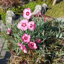 반구대로 이미지