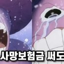 JOAT 이미지