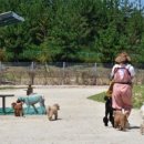 천안사랑지역아동센터 이미지