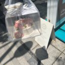 강남 주문제작케이크 추천 플러드리 신사역케이크