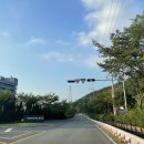 옥마벚길 이미지