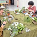 인천금마초등학교 이미지