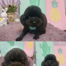 금동살롱 이미지