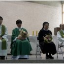 잠원성당 이미지
