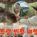 빅펀 이미지