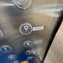 그루밍 나나 | 어차피 할 거면 자신 있게 Do It