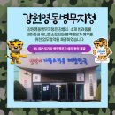 애니멀스토리