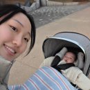 신흥공구 | [2차공구예고] 르베르 트라이크 유모차 최저가 폴딩 접는법 실사용후기 싹 다 알려줌