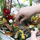 꽃보다 인생 원예 테라피 이미지