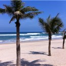 파라다이스 이미지