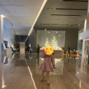 씨마크호텔 | 아기랑 여행하기 - 씨마크호텔 후기(BMW 시승 이벤트로 다녀온 가족 호캉스)
