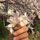 네일홀리다