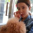 올펫 동물병원 이미지