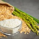 동양농기 이미지