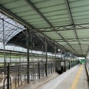 좋은마을만들기 | 대전 세종 비오는 날 두돌아이랑 정동체험마을 피자만들기 체험 후기