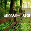 지혜네
