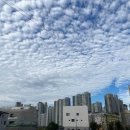 골프존 에코 GDR 아카데미 이미지