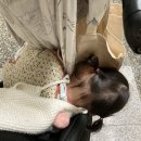 <b>마이크라라이트</b> 투폴드 구폴드 사용 솔직후기