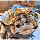 짱조개나라 이미지