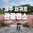 서광리-12 이미지